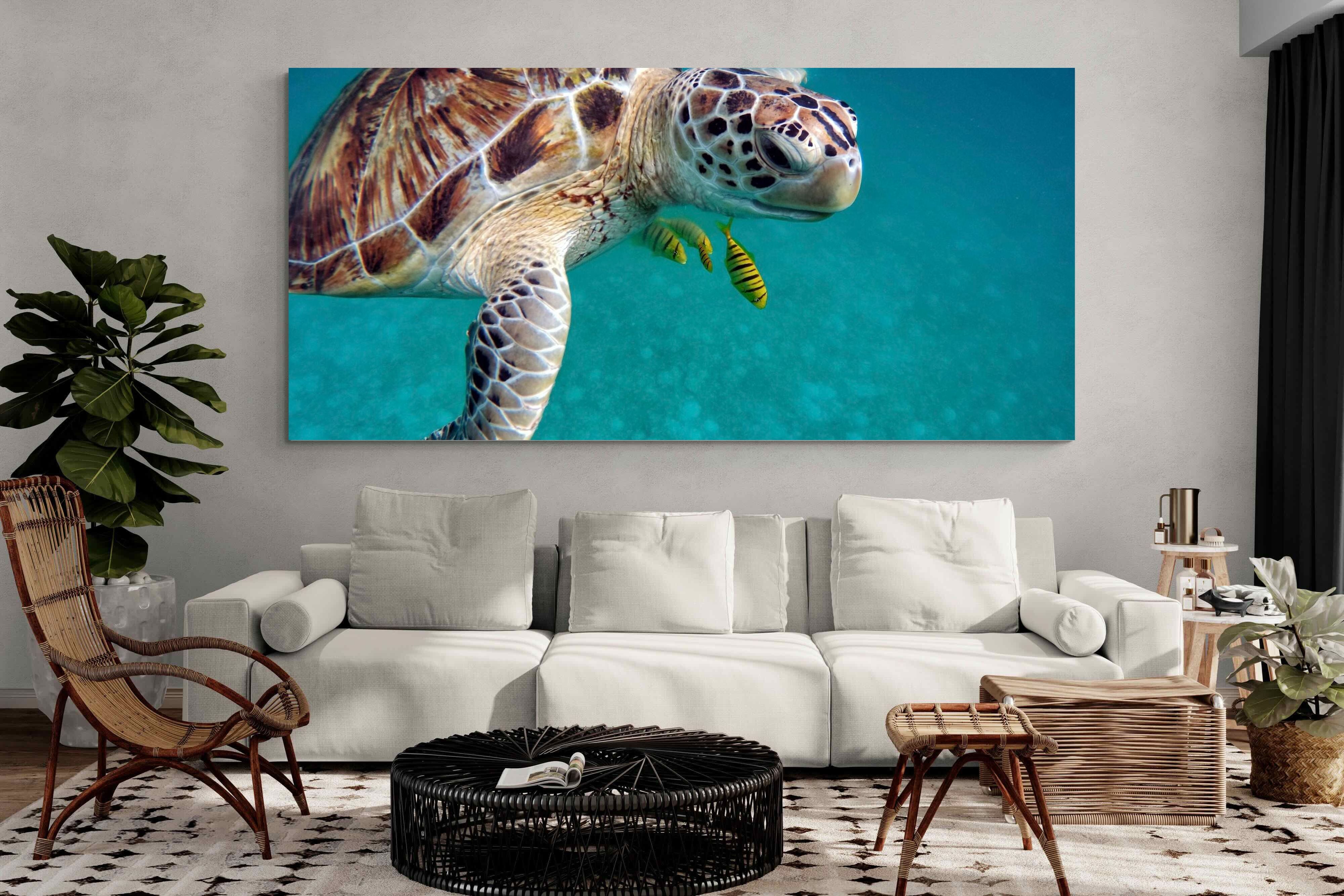 Pixalot ® Reef Companion