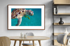 Pixalot ® Reef Companion
