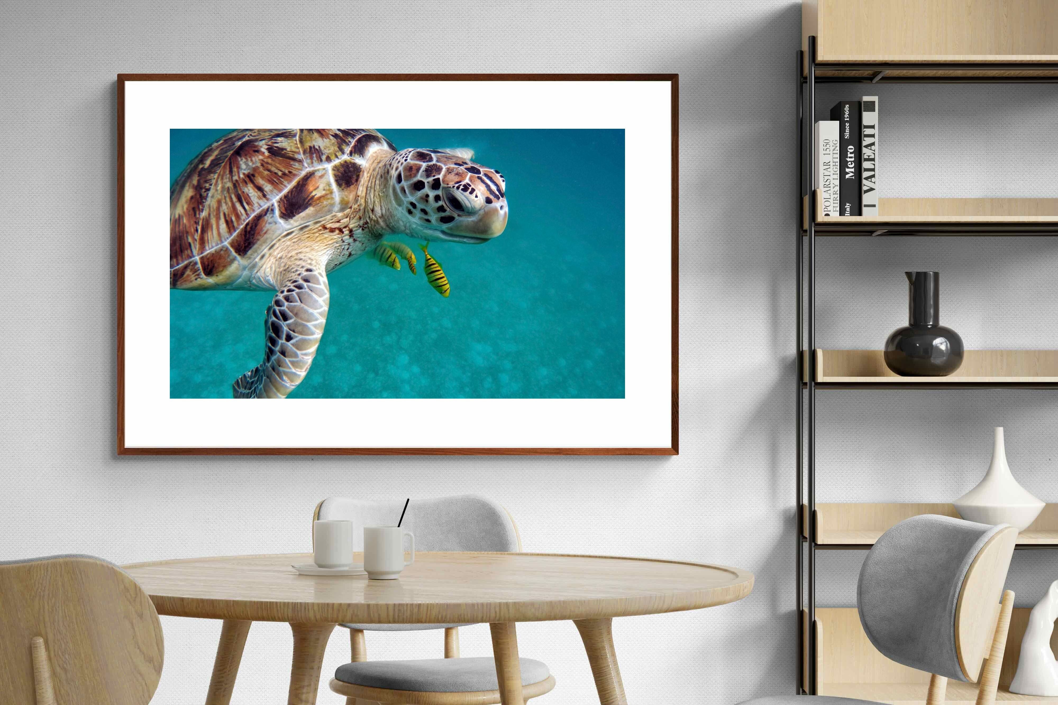 Pixalot ® Reef Companion