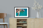 Pixalot ® Reef Companion