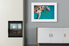 Pixalot ® Reef Companion