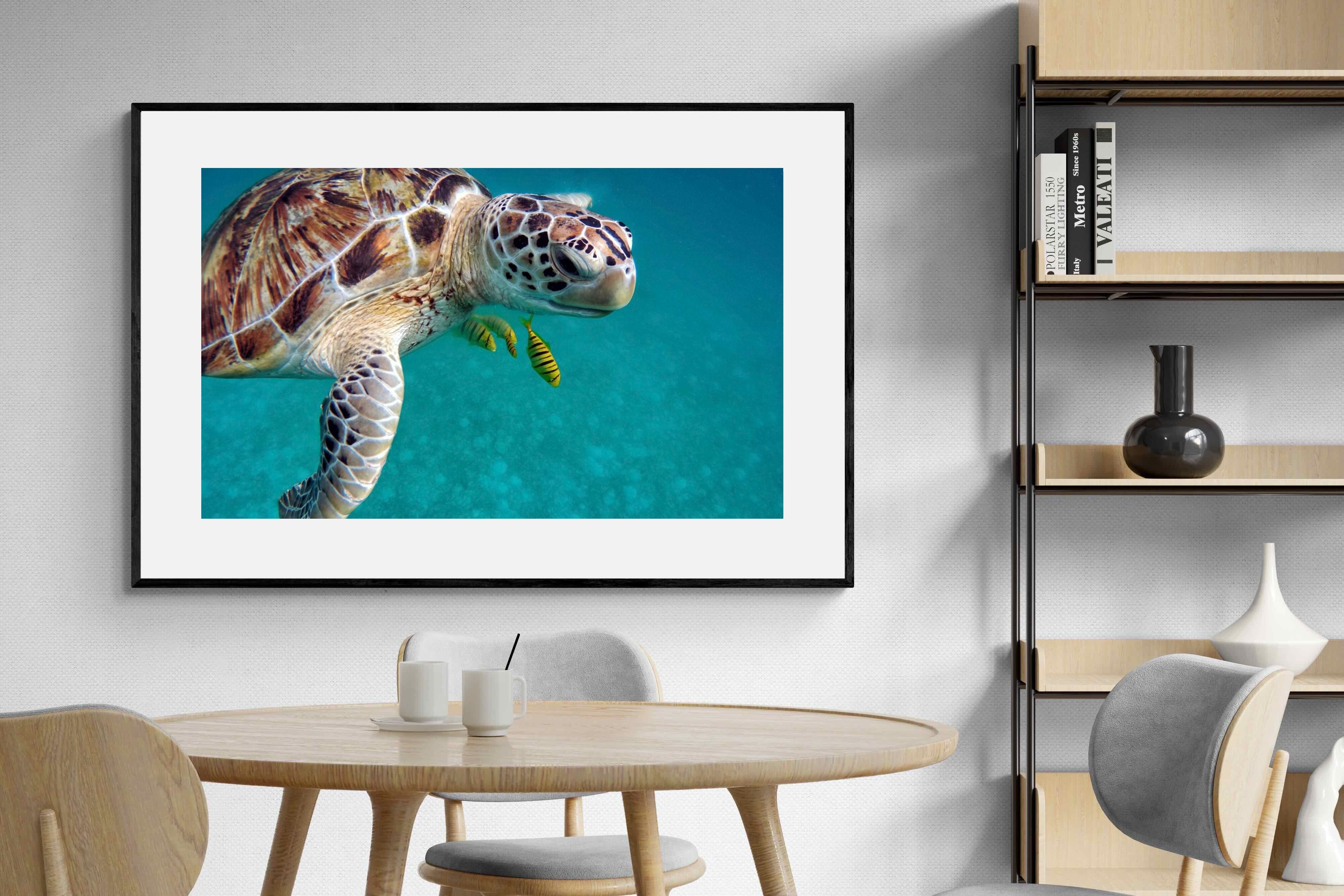 Pixalot ® Reef Companion