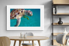 Pixalot ® Reef Companion