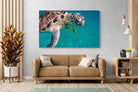 Pixalot ® Reef Companion