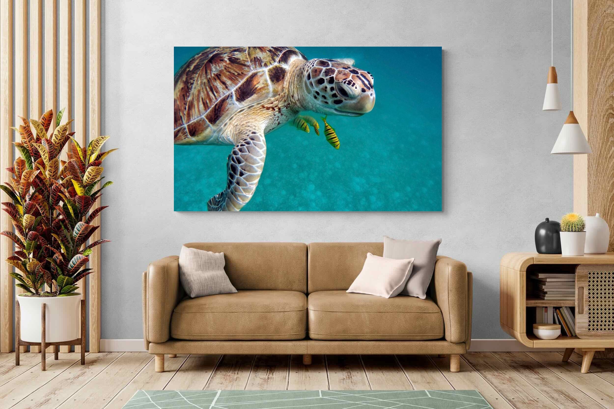 Pixalot ® Reef Companion