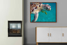 Pixalot ® Reef Companion