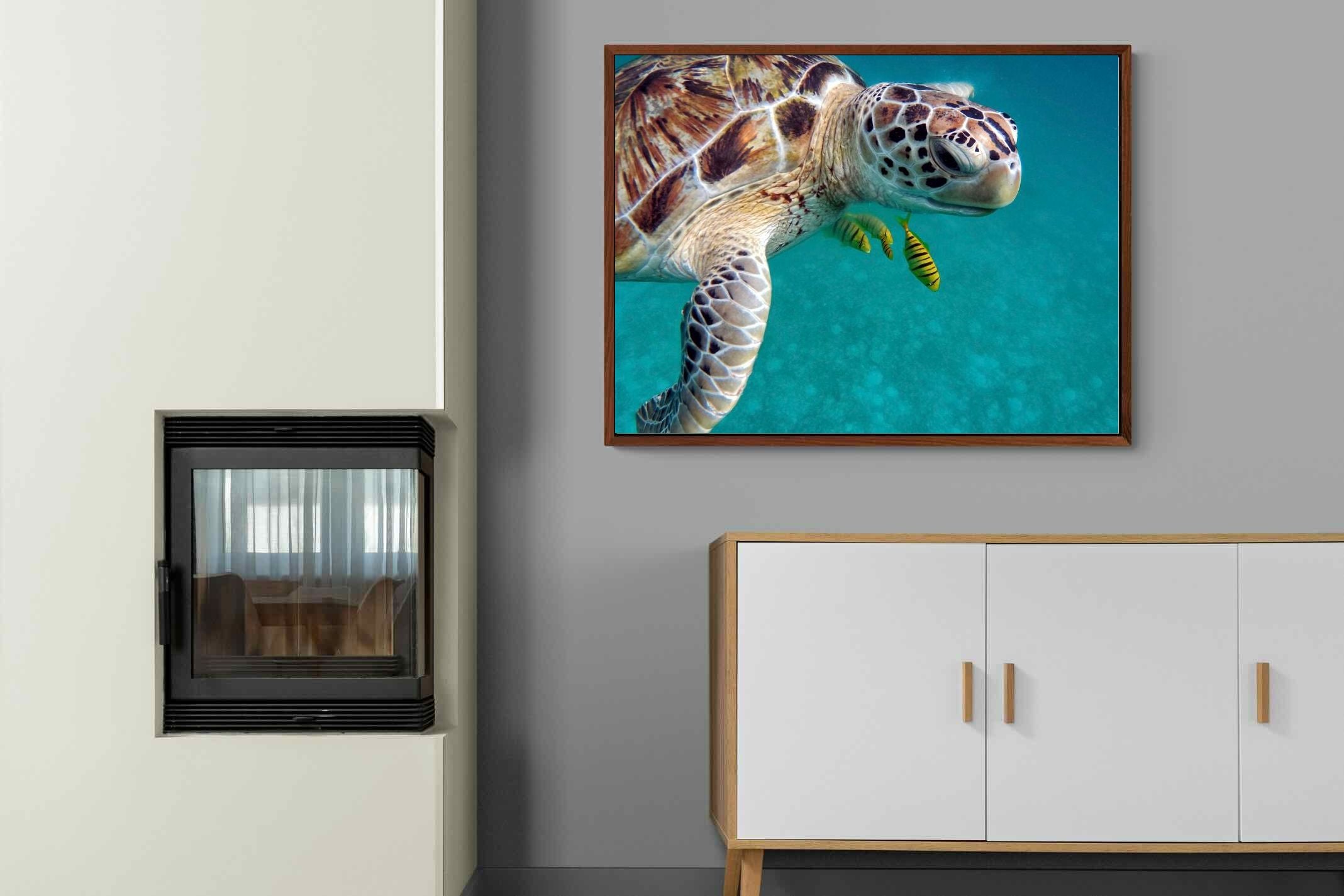 Pixalot ® Reef Companion