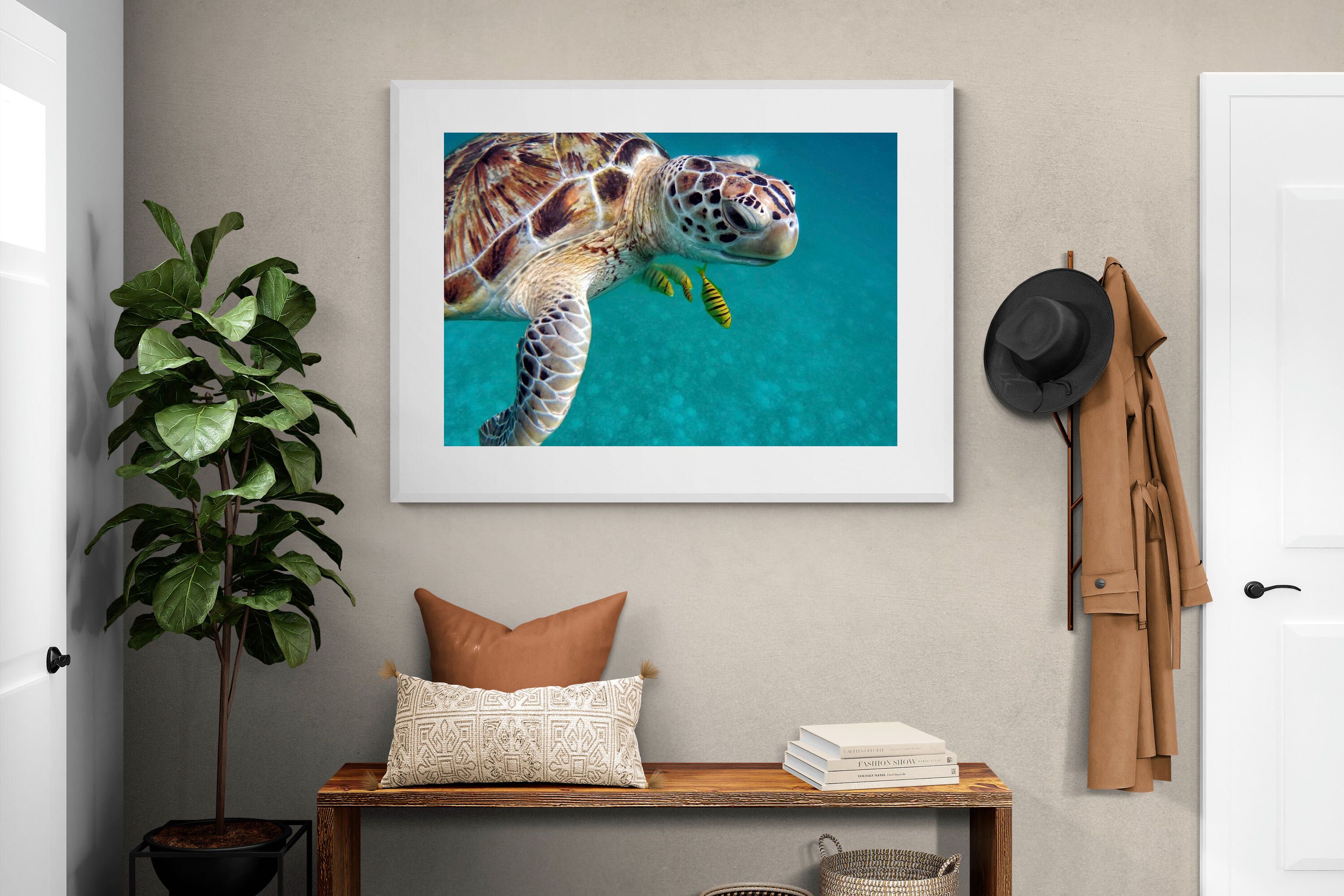 Pixalot ® Reef Companion