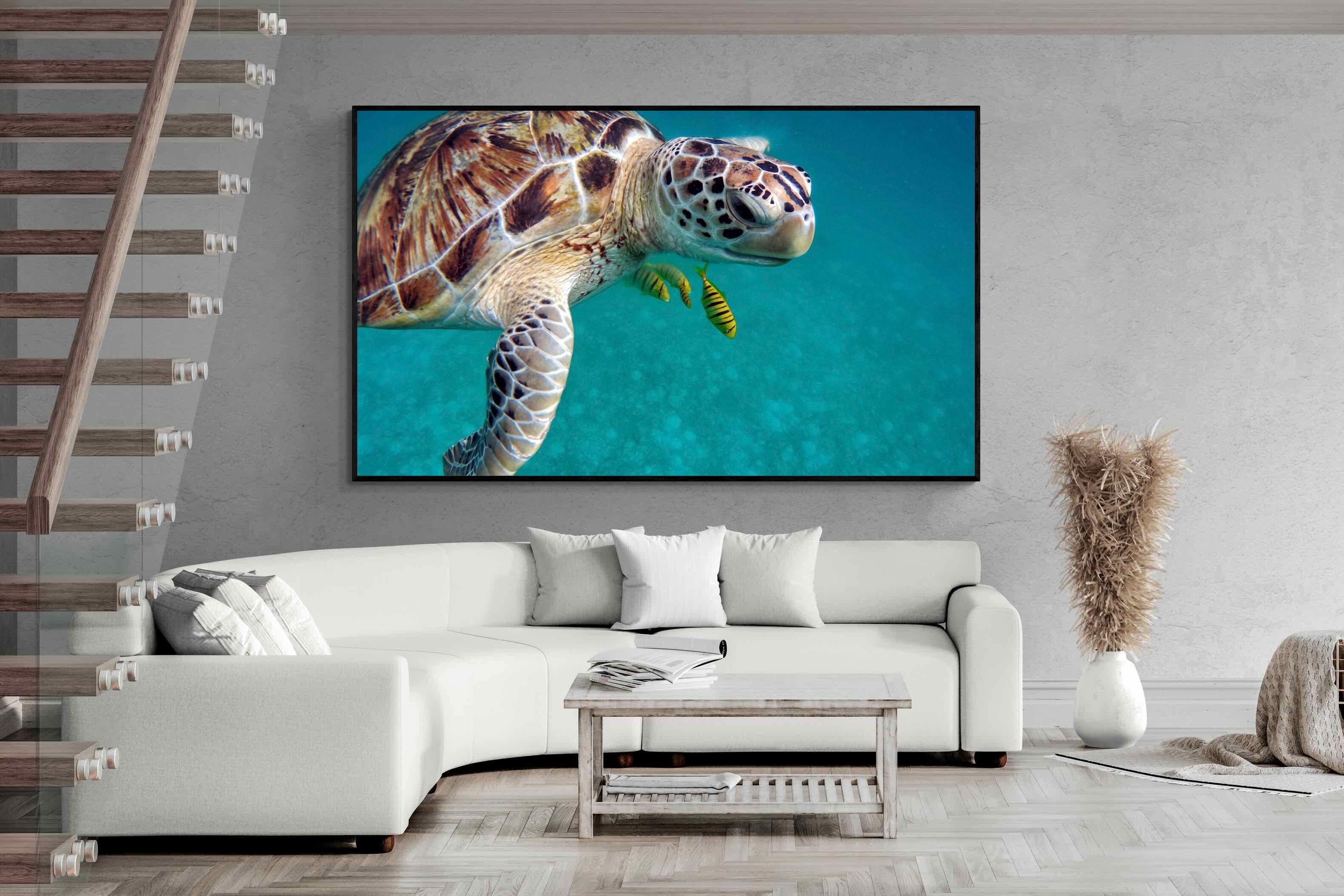 Pixalot ® Reef Companion