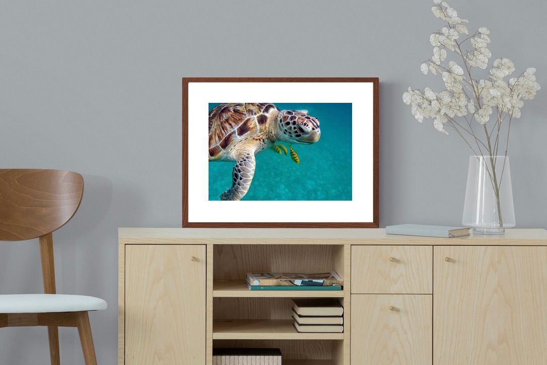 Pixalot ® Reef Companion