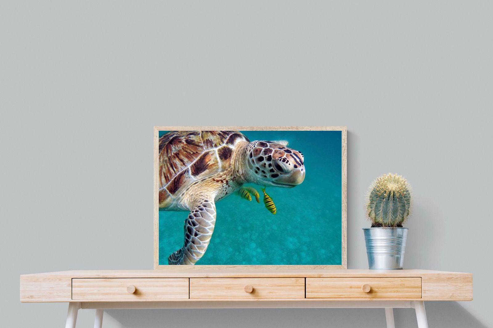 Pixalot ® Reef Companion