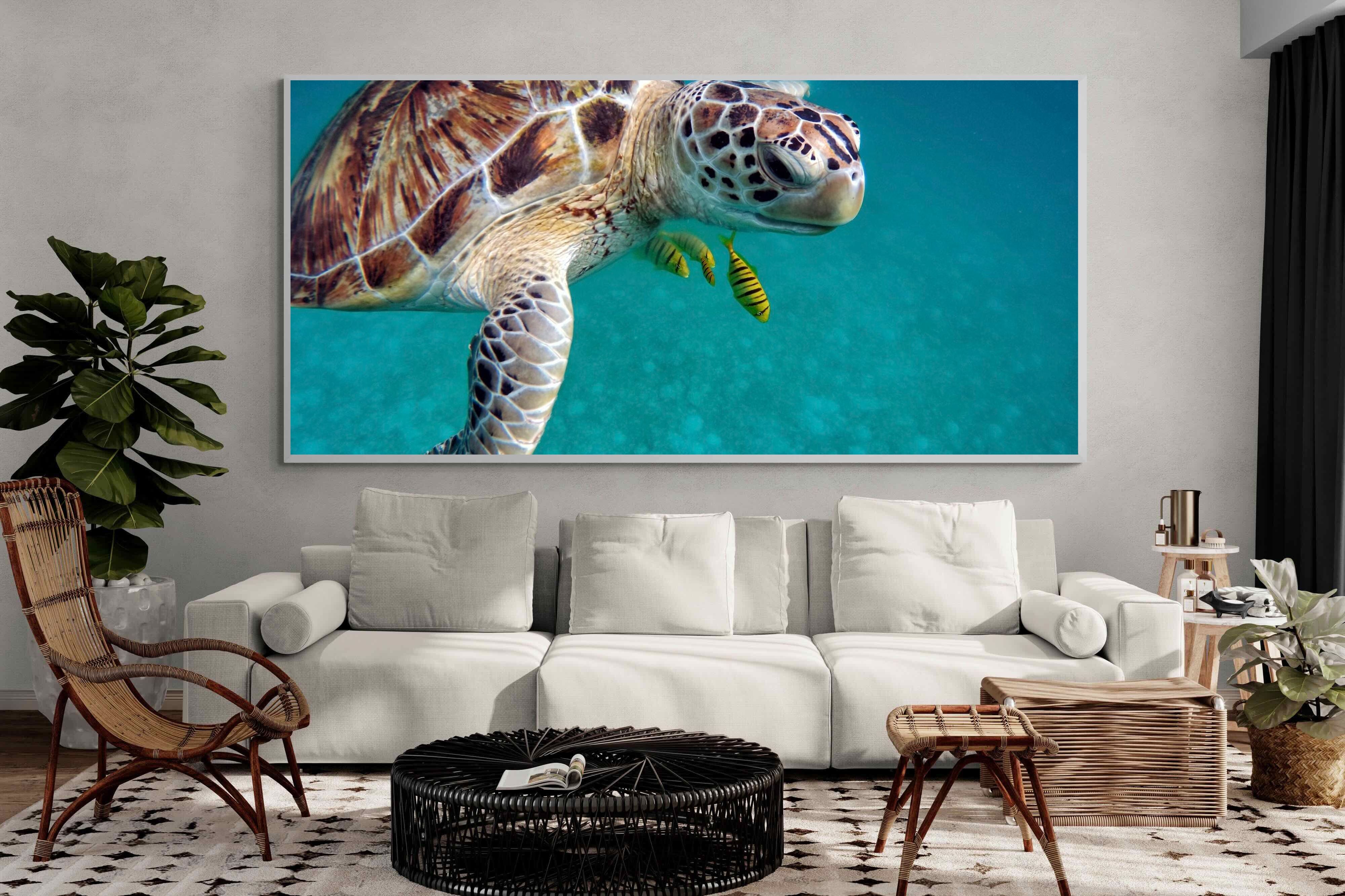 Pixalot ® Reef Companion