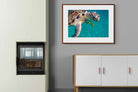 Pixalot ® Reef Companion