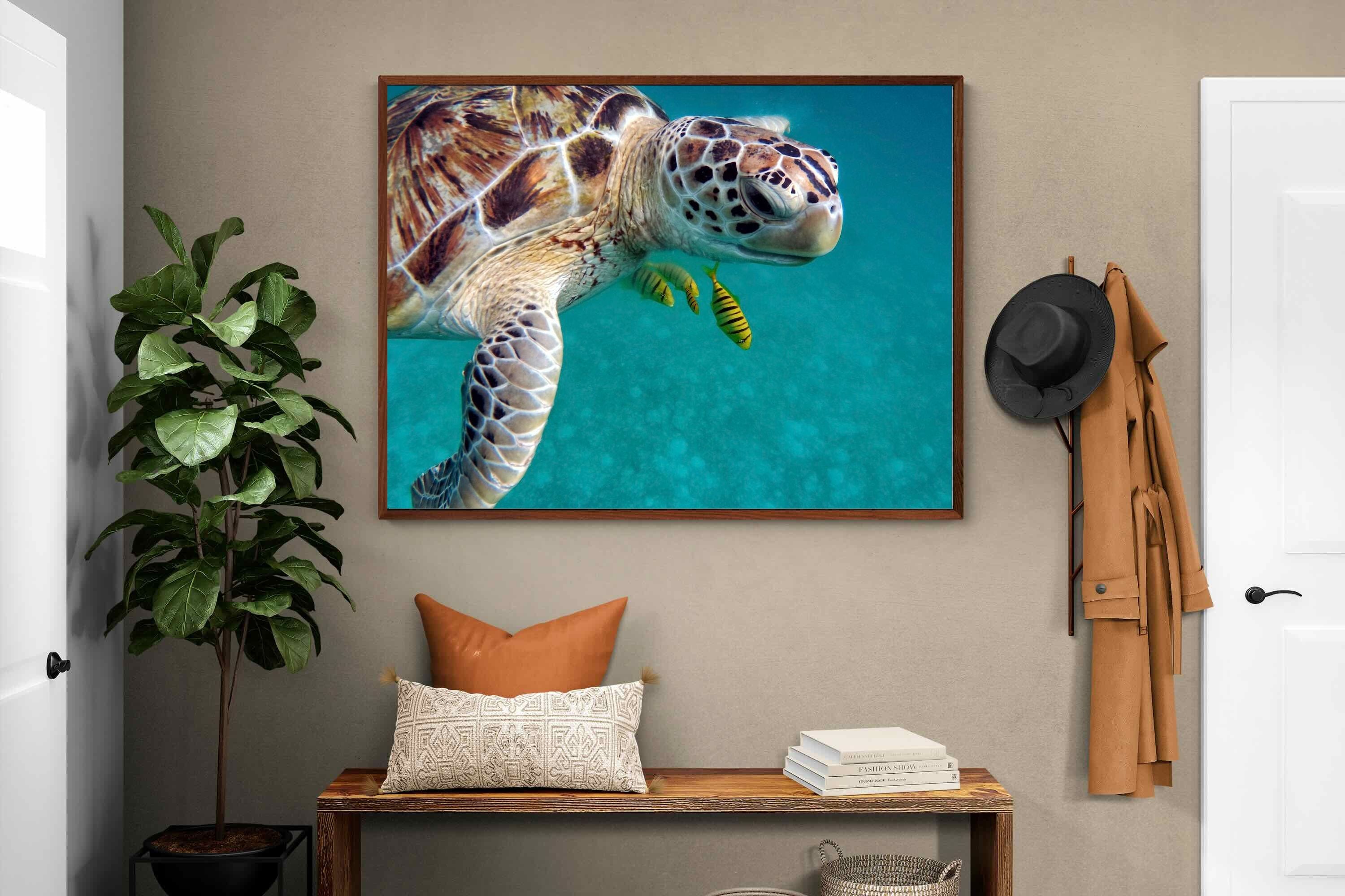 Pixalot ® Reef Companion
