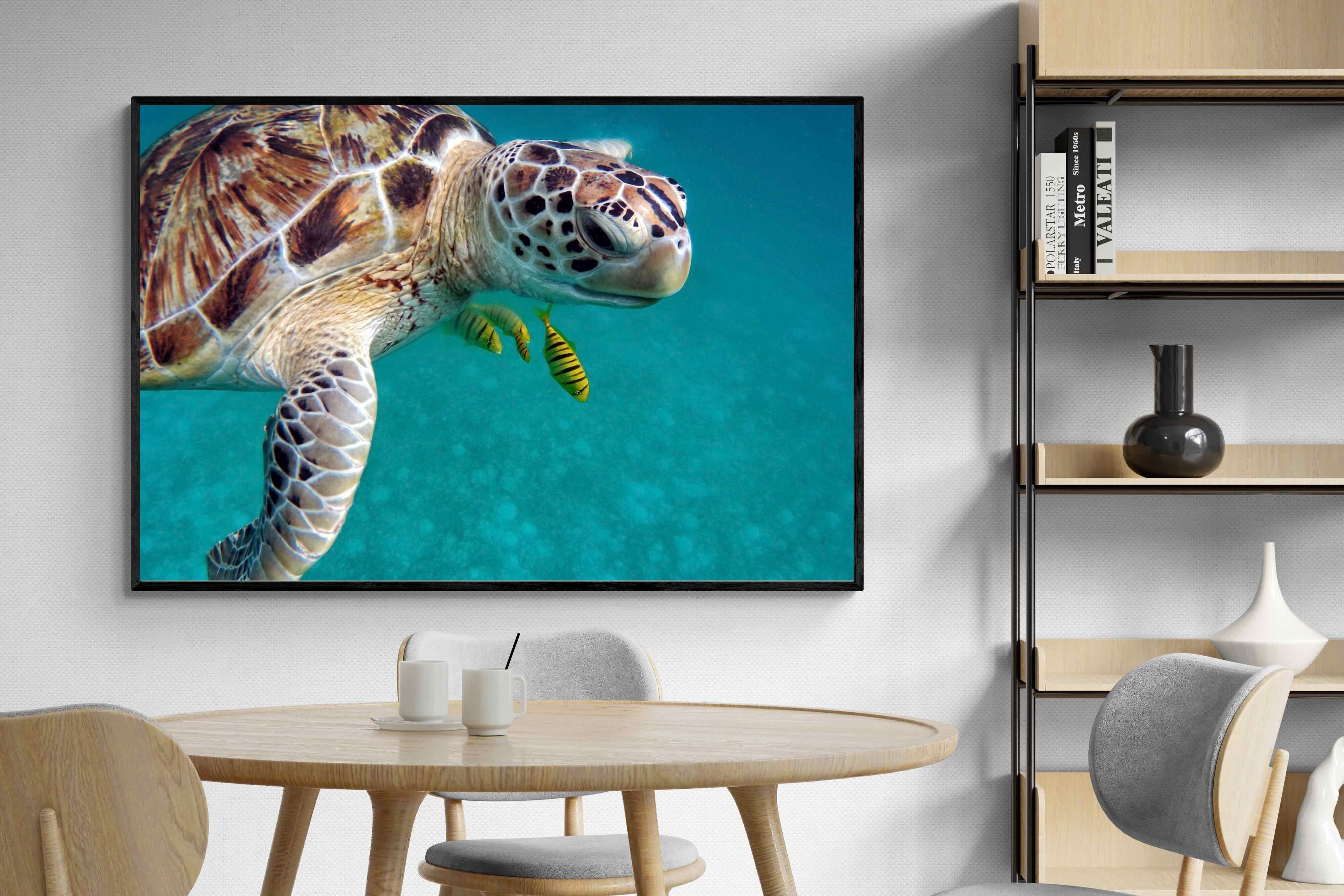 Pixalot ® Reef Companion