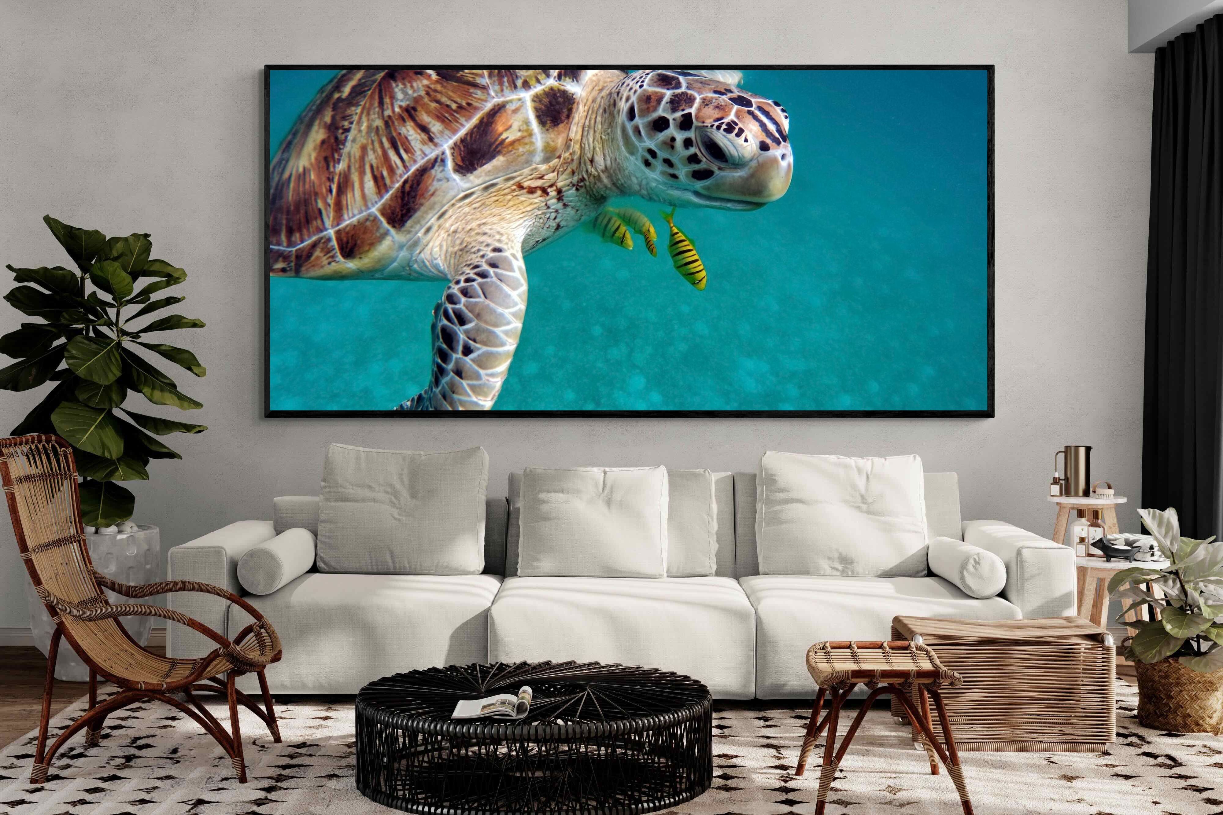 Pixalot ® Reef Companion