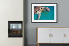Pixalot ® Reef Companion