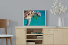 Pixalot ® Reef Companion