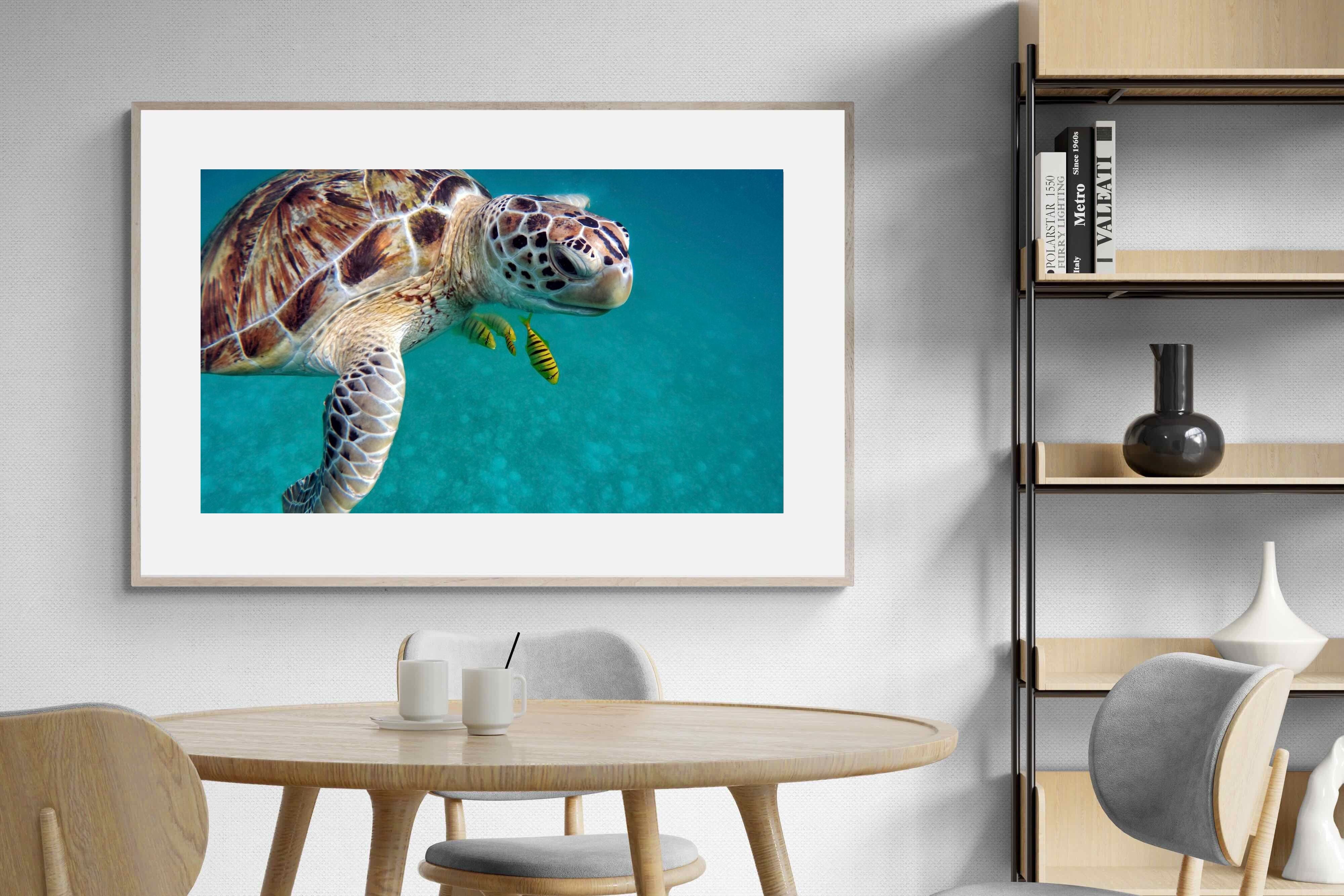 Pixalot ® Reef Companion