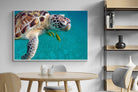Pixalot ® Reef Companion