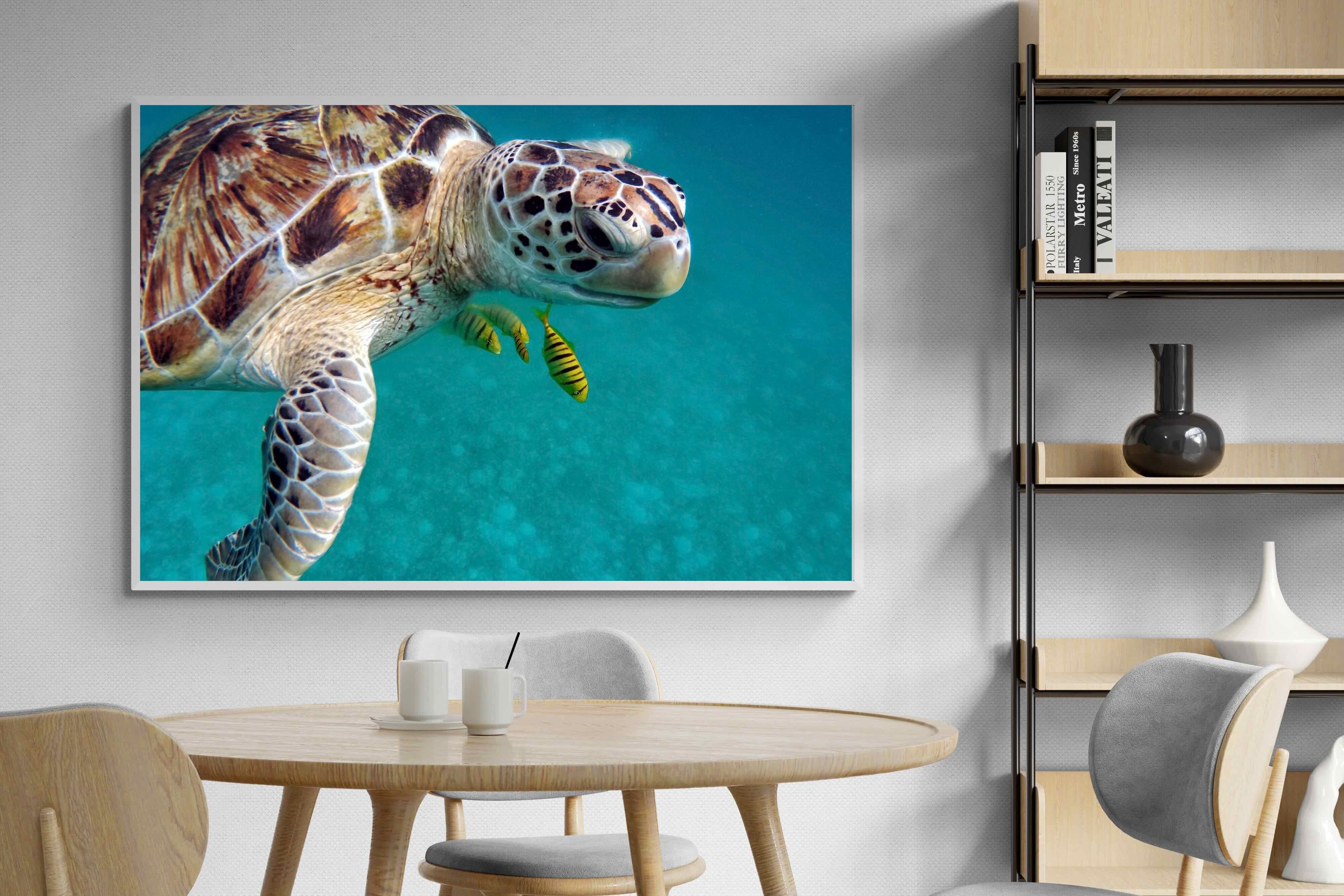 Pixalot ® Reef Companion