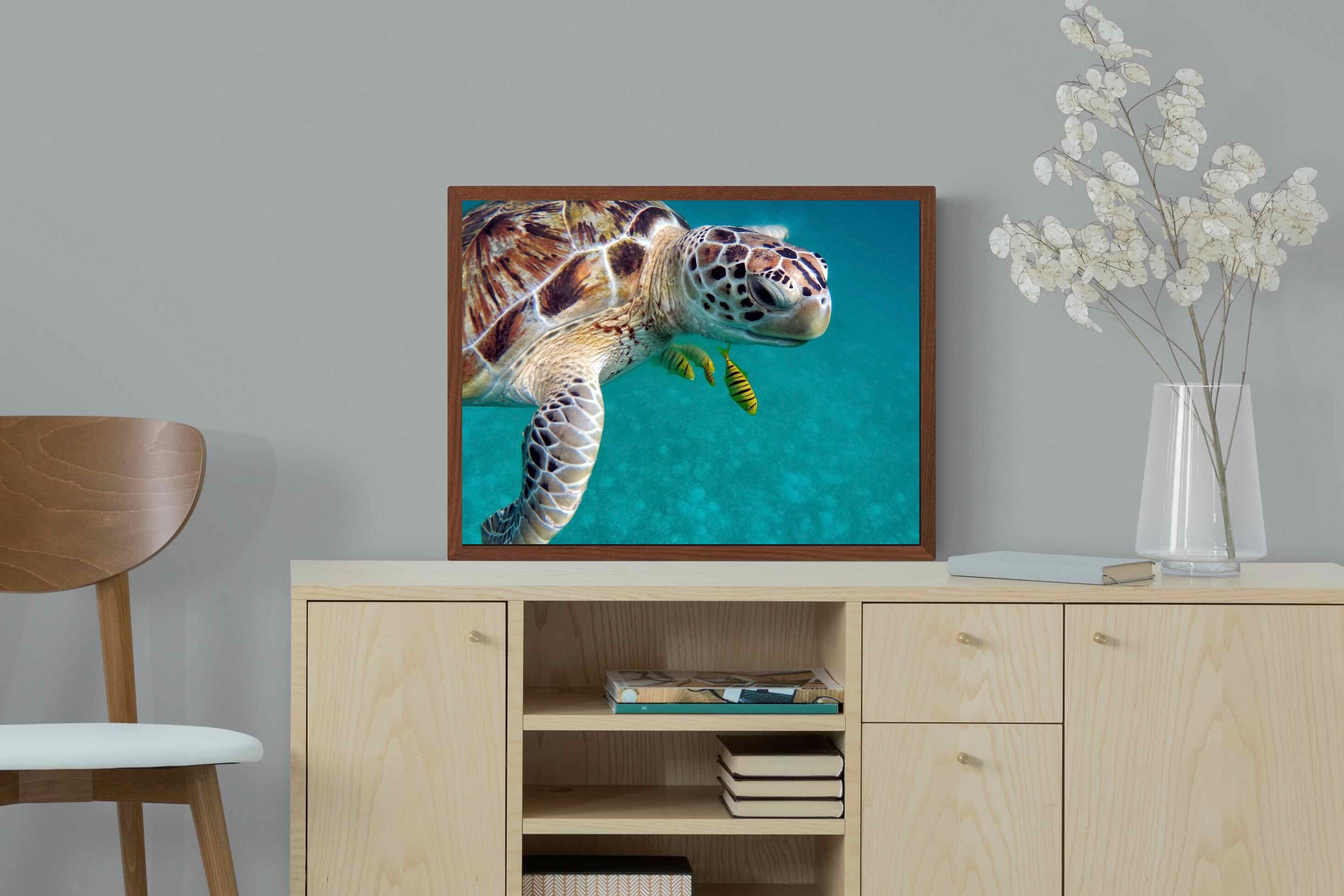 Pixalot ® Reef Companion