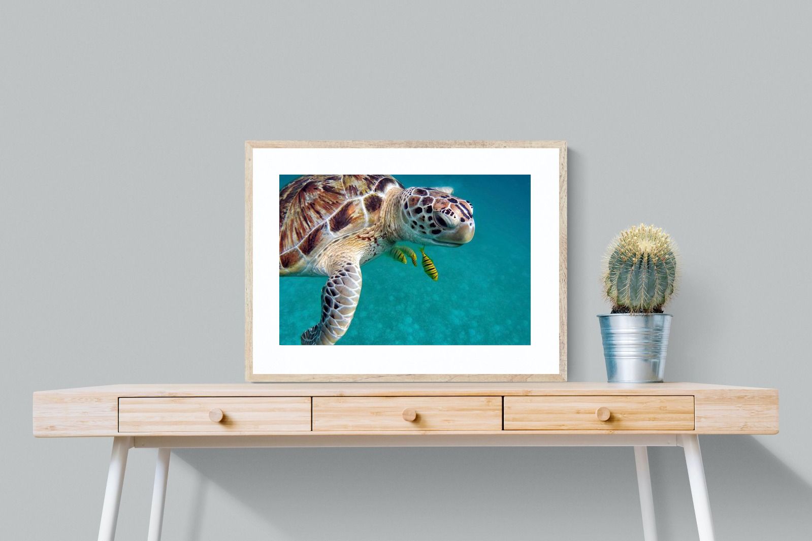 Pixalot ® Reef Companion