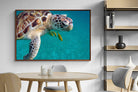 Pixalot ® Reef Companion
