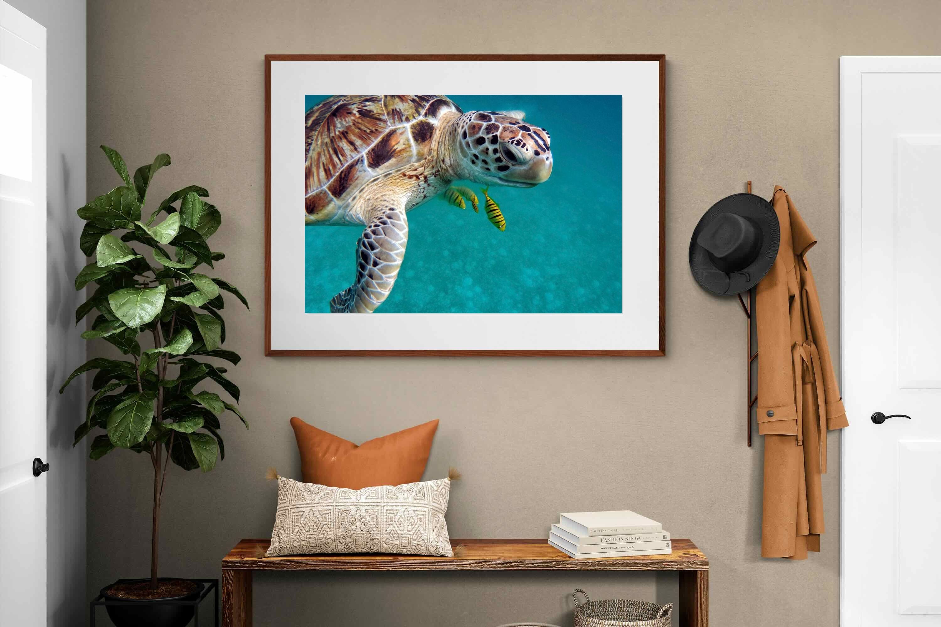 Pixalot ® Reef Companion
