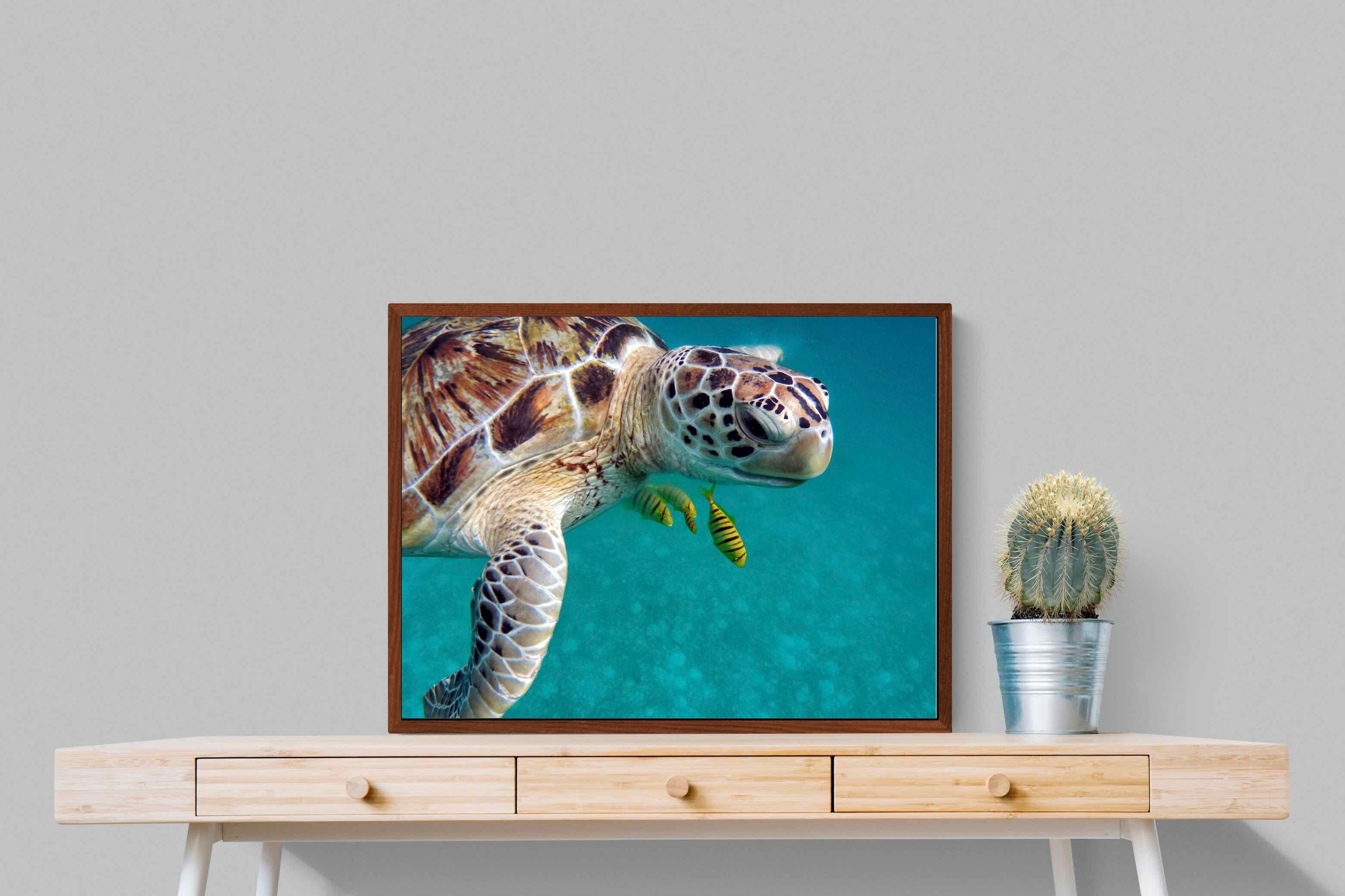 Pixalot ® Reef Companion