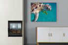 Pixalot ® Reef Companion