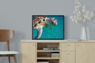 Pixalot ® Reef Companion