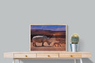Pixalot ® Rhino Road