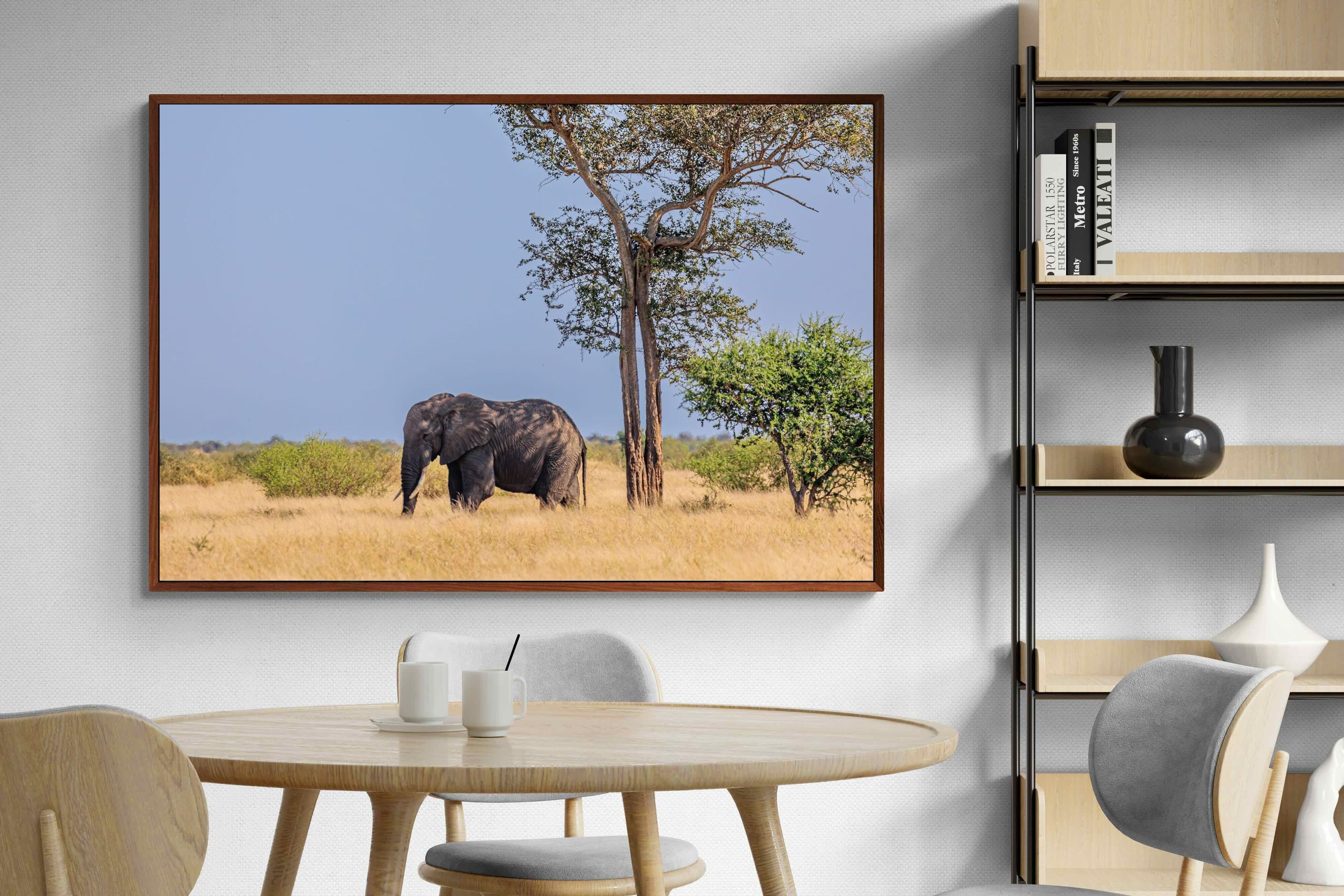 Pixalot ® Shady Elephant