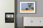 Pixalot ® Shady Elephant