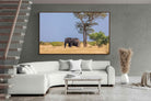 Pixalot ® Shady Elephant