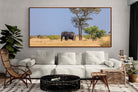 Pixalot ® Shady Elephant