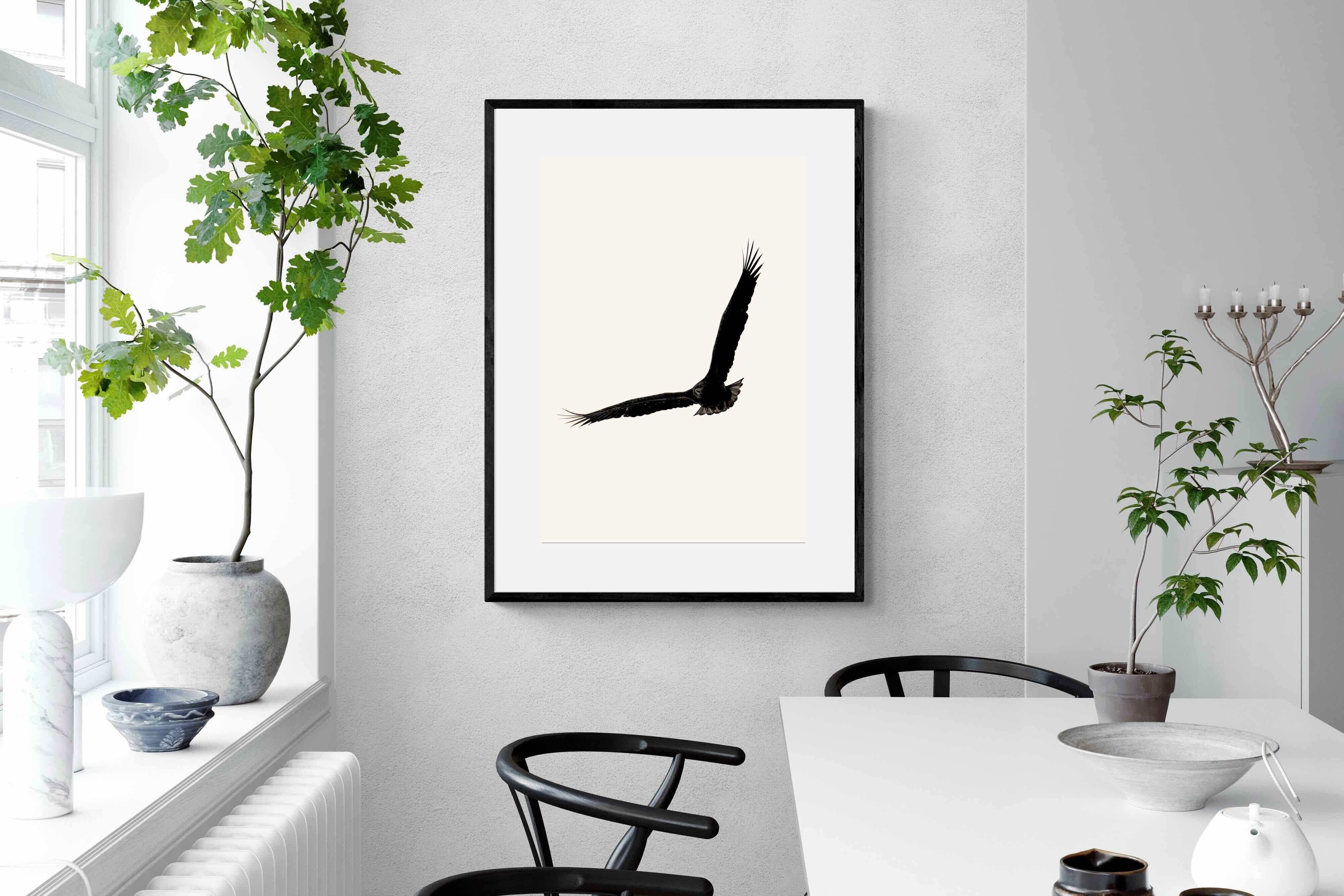 Pixalot ® Soaring Eagle