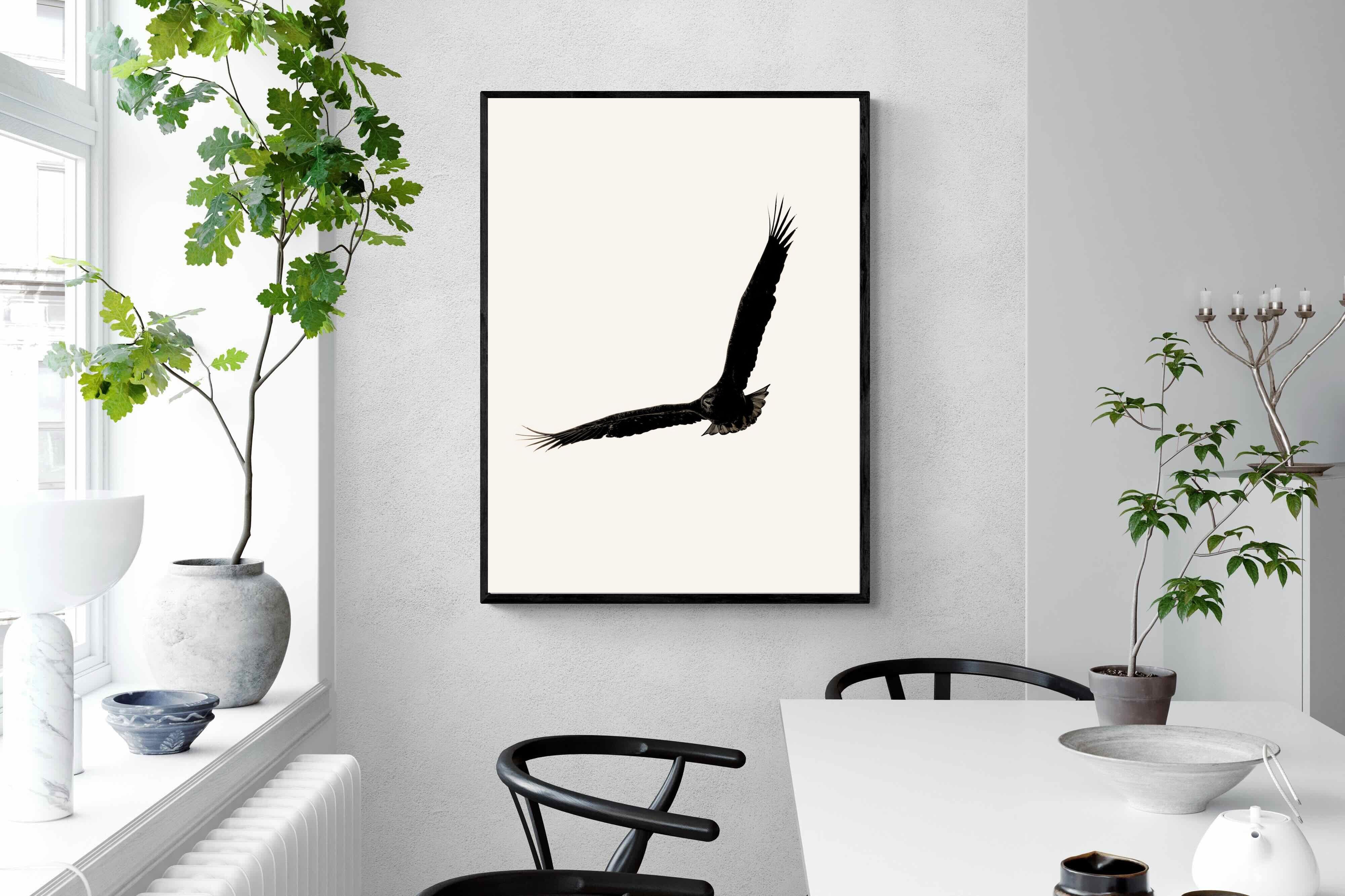 Pixalot ® Soaring Eagle