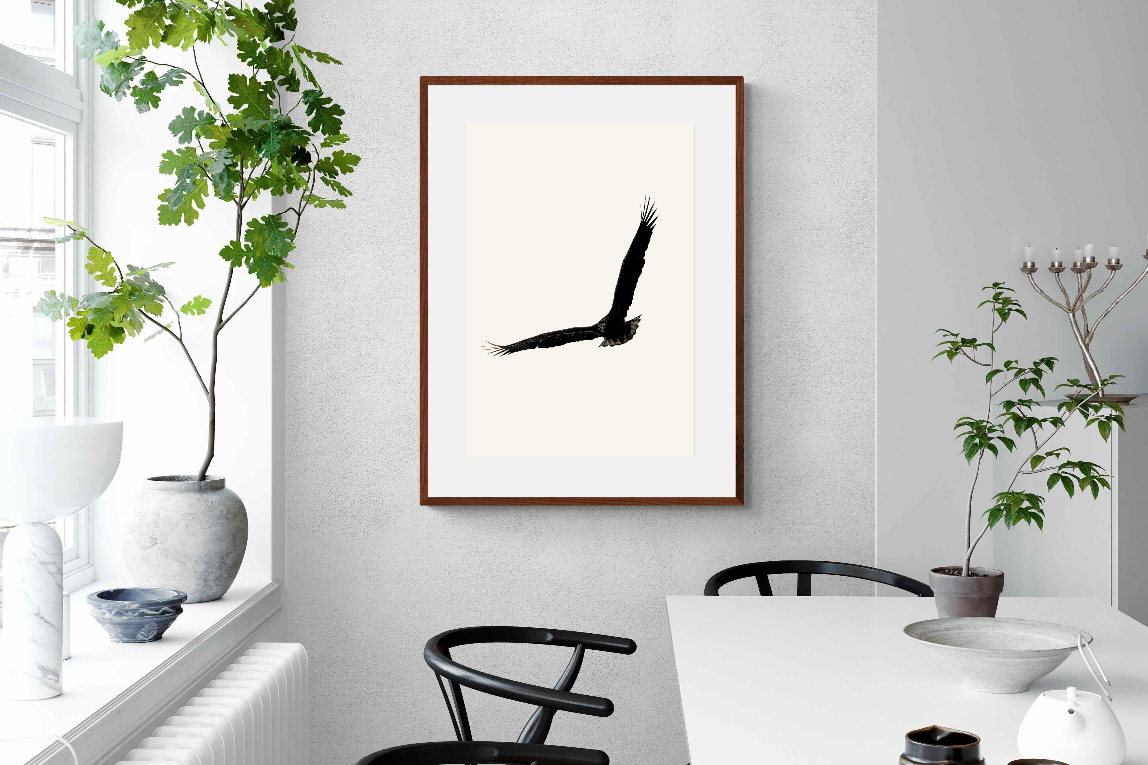 Pixalot ® Soaring Eagle
