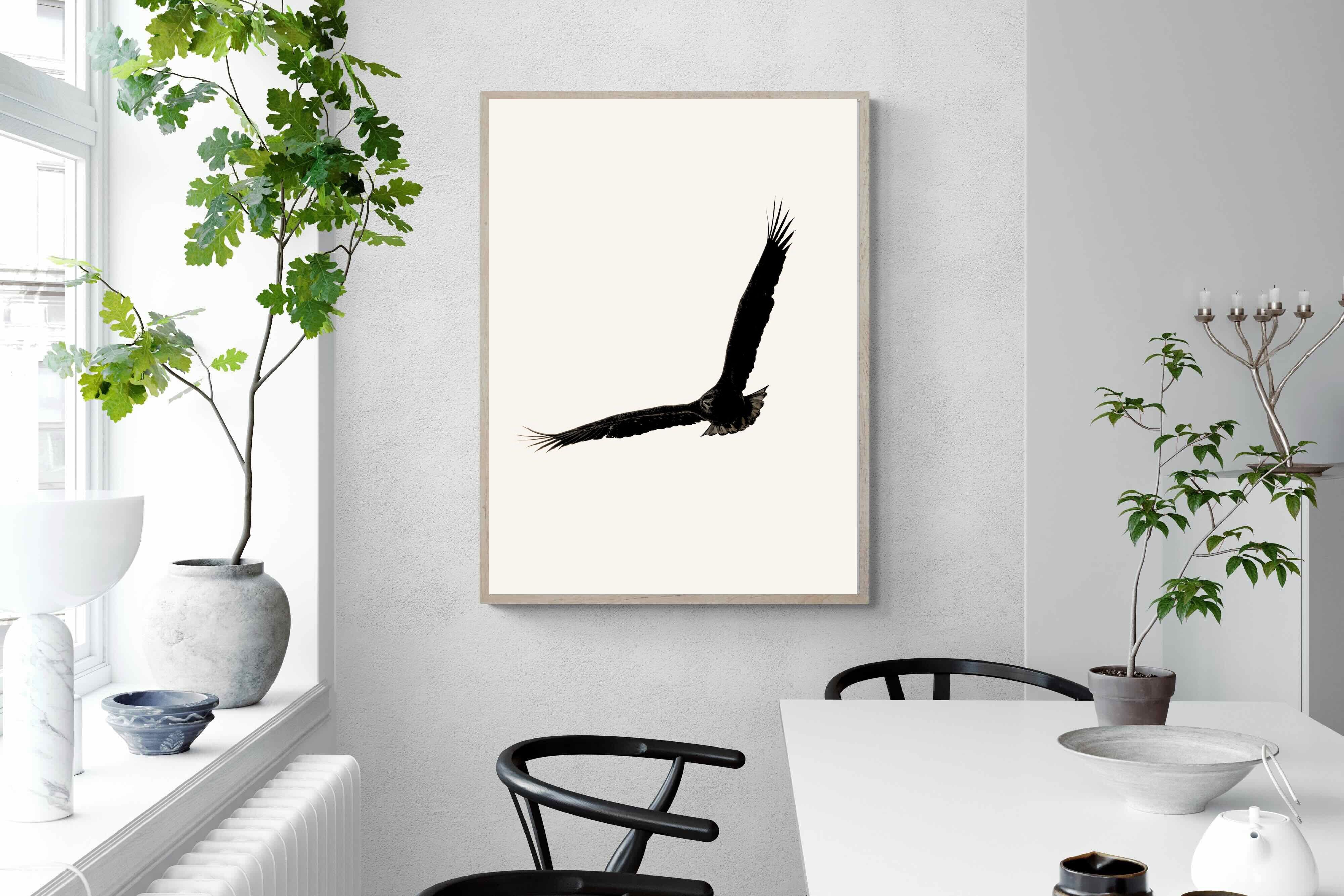 Pixalot ® Soaring Eagle