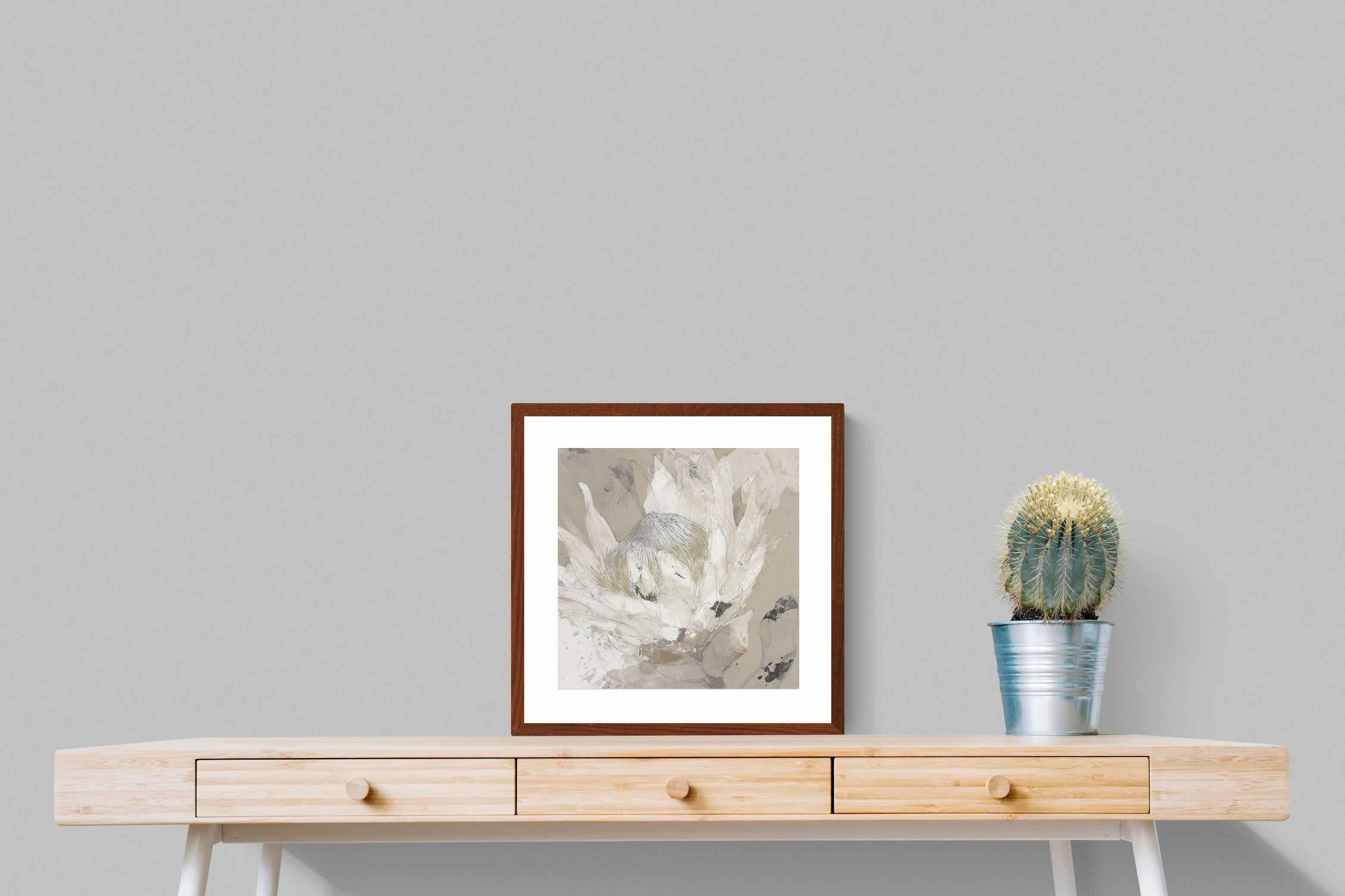 Pixalot ® Soft Protea