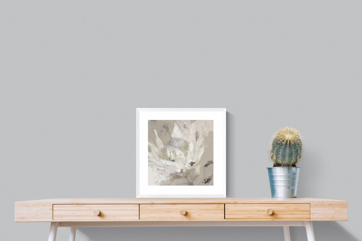 Pixalot ® Soft Protea