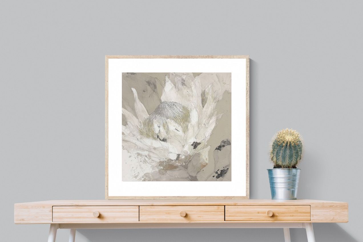 Pixalot ® Soft Protea