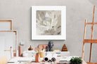 Pixalot ® Soft Protea