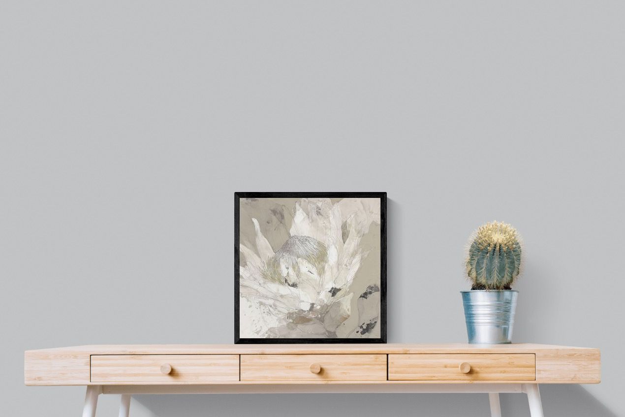 Pixalot ® Soft Protea