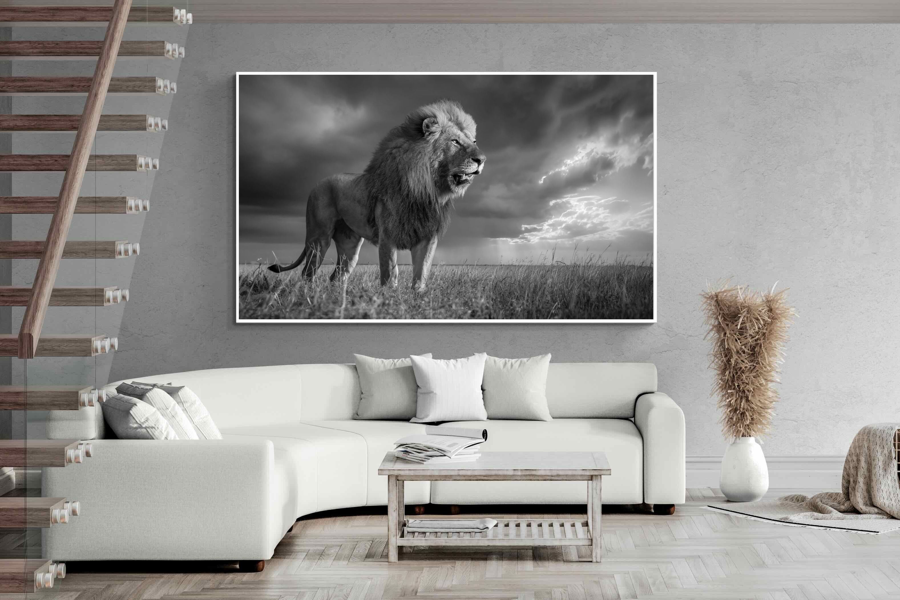 Pixalot ® Storm King