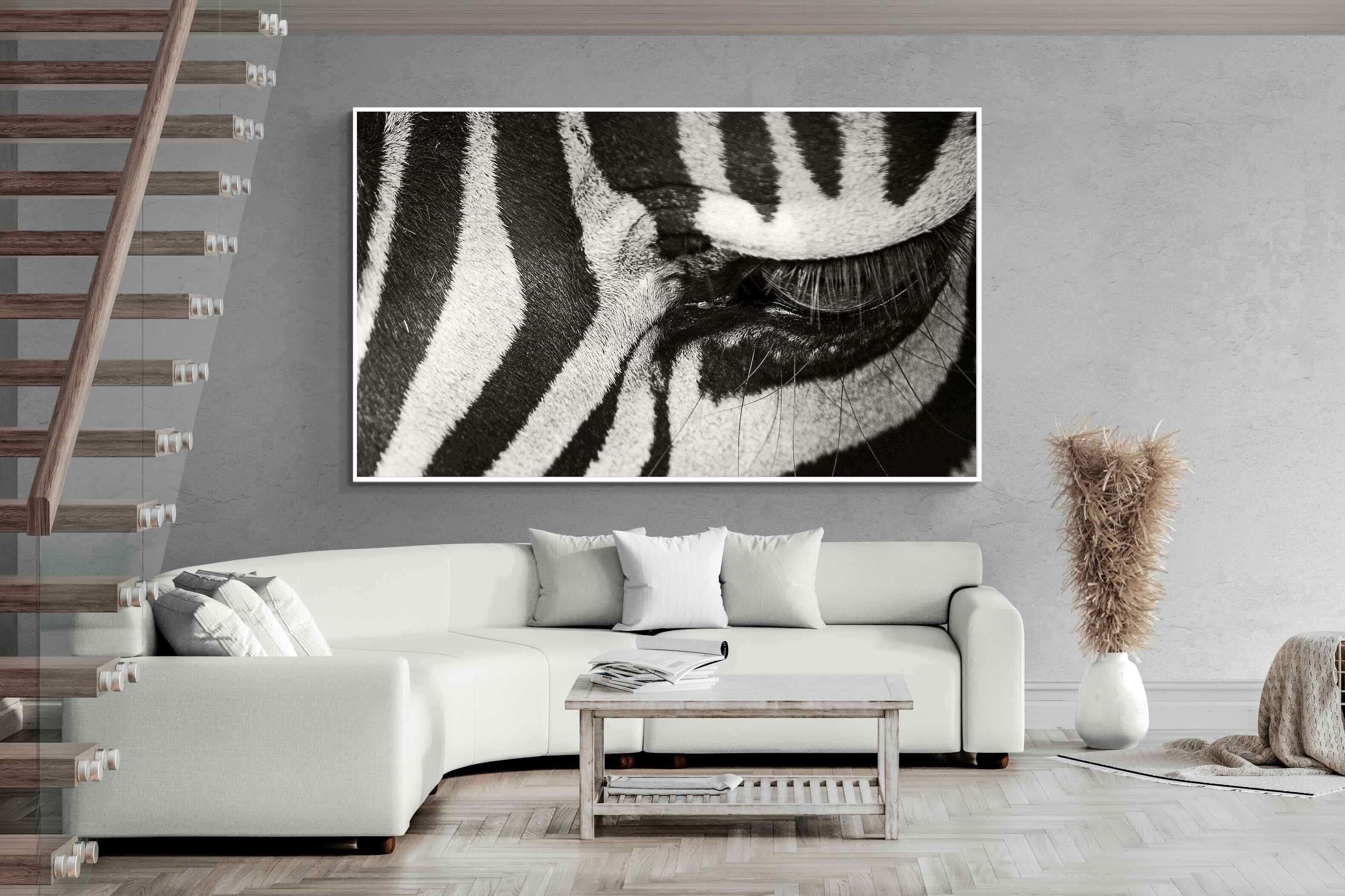 Pixalot ® Striped Gaze