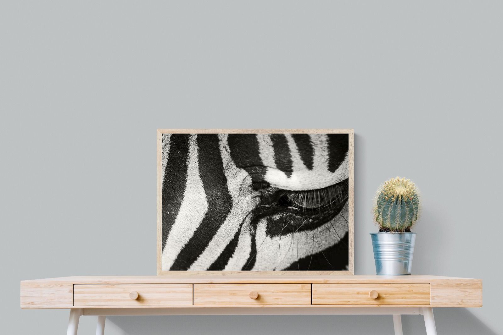 Pixalot ® Striped Gaze