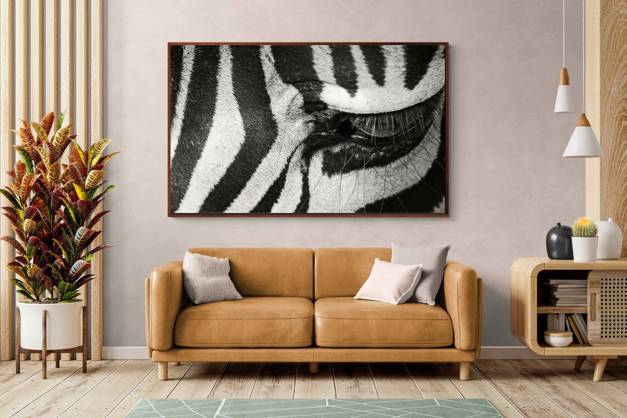Pixalot ® Striped Gaze